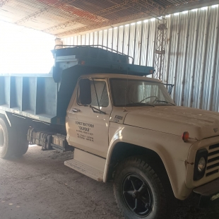 CAMION FORD 7000 AÑO 1987, CON MOTOR PERKINS 6 Y VOLCADORA PETINARI DE 8 M3, A TRANSFERIR.