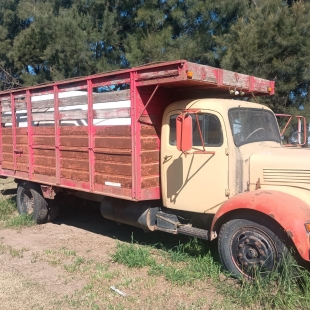 CAMION M.B.  312 AÑO 1963, EQUIPADO CON CAJA MIXTA Y TANQUE PLASTICO DE 8.000 LTS PARA AGUA, CON DOMINIO AL DIA. 